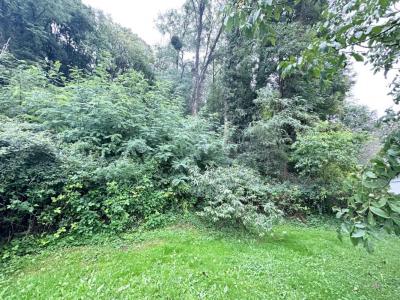 Annonce Vente Terrain Verjon 01