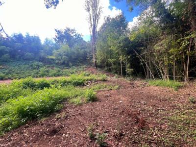 Annonce Vente Terrain Chaponost 69