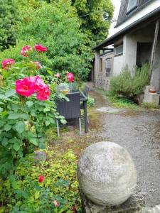 For sale Capelle 13 rooms 263 m2 Aisne (02260) photo 2