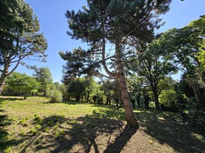 For sale Pont-de-salars 2 rooms 77 m2 Aveyron (12290) photo 4