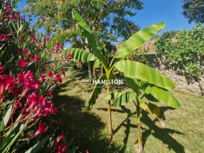 For sale Tonnac 6 rooms 230 m2 Tarn (81170) photo 4