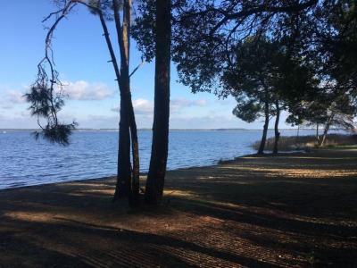 For rent Lacanau 4 rooms 120 m2 Gironde (33680) photo 2