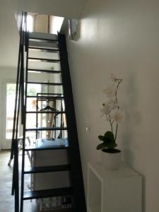 For rent Gujan-mestras 1 room 20 m2 Gironde (33470) photo 4