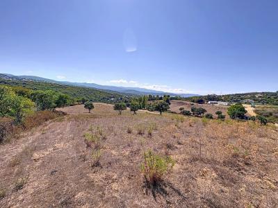 For sale Porticcio 5000 m2 Corse (20166) photo 2