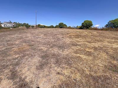For sale Porticcio 5000 m2 Corse (20166) photo 4