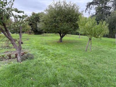 For sale Saint-seurin-de-prats 5 rooms 90 m2 Dordogne (24230) photo 3