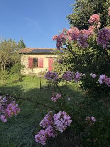 For sale Calmont 3 rooms 55 m2 Haute garonne (31560) photo 0