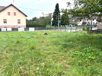 For sale Aspach-le-bas Haut rhin (68700) photo 0