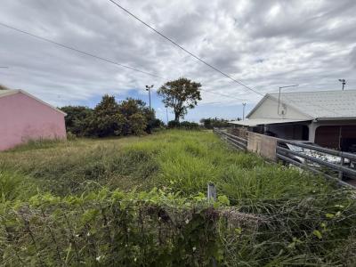 Acheter Terrain 350 m2 Saint-pierre