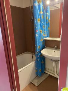 Louer Appartement Colmar 305 euros