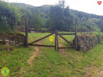 Acheter Maison Murat 243800 euros