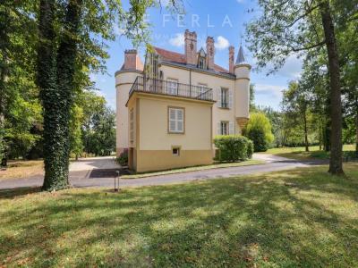 Annonce Vente Prestige Saint-julien-de-coppel 63