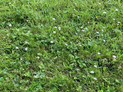 For sale Saint-suliac 267 m2 Ille et vilaine (35430) photo 0