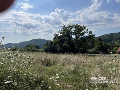 Annonce Vente Terrain Saint-sernin-du-bois 71