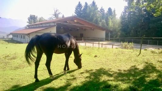 For sale Contamine-sur-arve 3 rooms 80 m2 Haute savoie (74130) photo 0