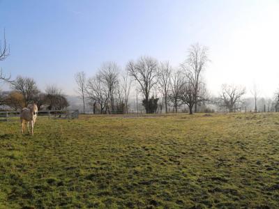 For sale Charbonnat 7 rooms 258 m2 Saone et loire (71320) photo 3
