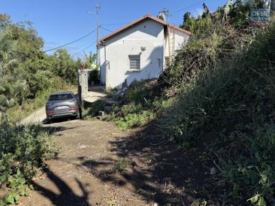 Annonce Vente Maison Riviere-saint-louis 974