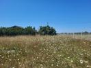 For sale Land Odars  649 m2