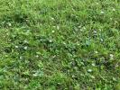 For sale Land Saint-suliac  267 m2
