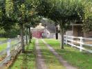 For sale House Charbonnat  258 m2 7 pieces