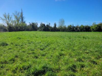 For sale Castelnau-montratier 1025 m2 Lot (46170) photo 1
