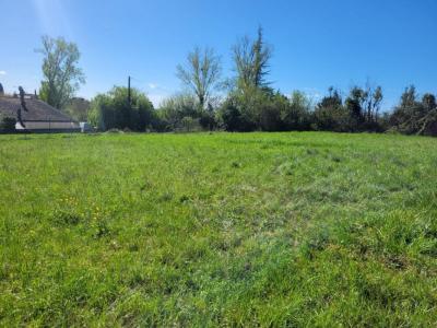 For sale Castelnau-montratier 1025 m2 Lot (46170) photo 3