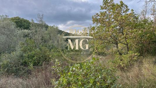 Annonce Vente Terrain Mages 30