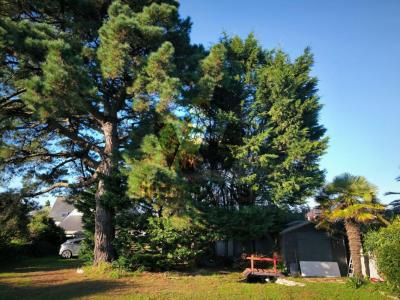 Annonce Vente 7 pices Maison Locquirec 29