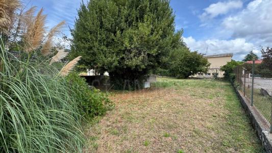 Annonce Vente 3 pices Maison Arzay 38