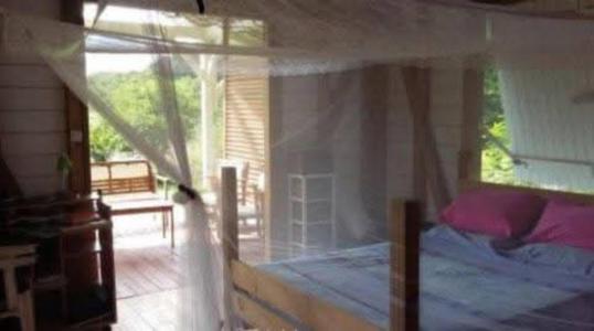 Acheter Maison Sainte-anne 415000 euros