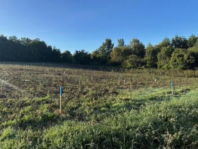 For sale Angouleme 410 m2 Charente (16000) photo 2