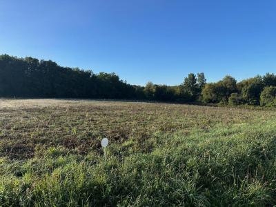 For sale Angouleme 410 m2 Charente (16000) photo 3