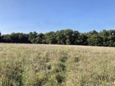 For sale Artigues-pres-bordeaux 738 m2 Gironde (33370) photo 3