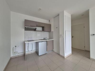 Annonce Location 2 pices Appartement Toulouse 31