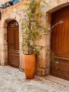 For sale Lorgues 3 rooms 93 m2 Var (83510) photo 4