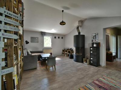 Acheter Maison 296 m2 Mas-de-londres