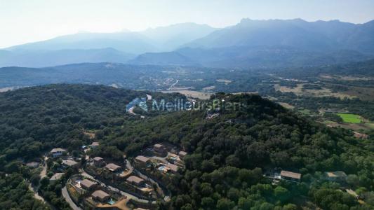 Annonce Vente Prestige Sotta 20