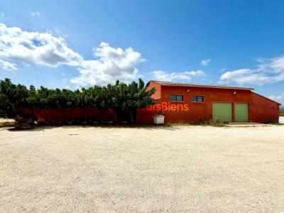 For sale Rivesaltes 7 rooms 370 m2 Pyrenees orientales (66600) photo 4
