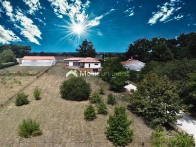 For sale Prigonrieux 6 rooms 166 m2 Dordogne (24130) photo 3