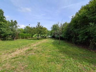 For sale Florentin 1147 m2 Tarn (81150) photo 4