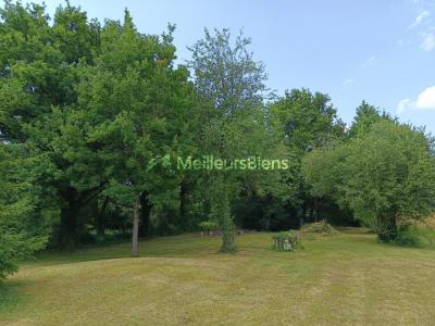 Annonce Vente 7 pices Maison Chatenoy 45