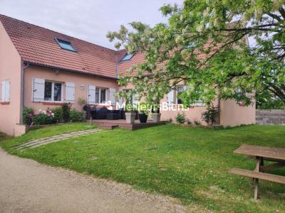 Acheter Maison 203 m2 Chatenoy