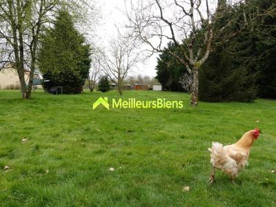 Acheter Prestige Nibelle 322000 euros