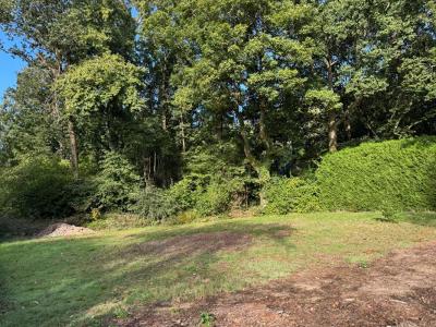 Annonce Vente Terrain Auray 56