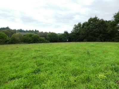 For sale Persquen 2789 m2 Morbihan (56160) photo 0