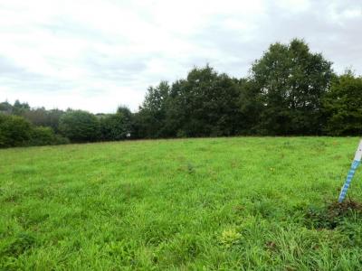 For sale Persquen 2789 m2 Morbihan (56160) photo 2