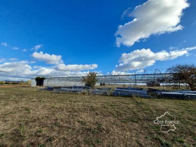 For sale Longueville 32767 m2 Lot et garonne (47200) photo 1