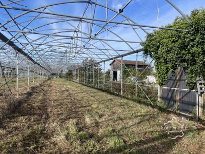 For sale Longueville 32767 m2 Lot et garonne (47200) photo 2