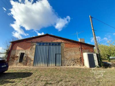For sale Longueville 32767 m2 Lot et garonne (47200) photo 3