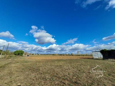 For sale Longueville 32767 m2 Lot et garonne (47200) photo 4
